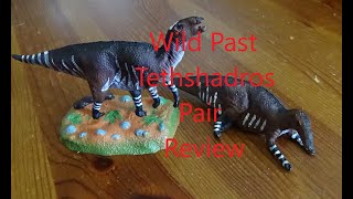 Wild Past Tethyshadros Pair Review [upl. by Perrin]