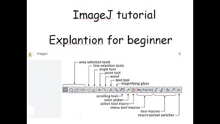 What is ImageJ ImageJ tutorial for the beginners part1‖ [upl. by Attiuqram]