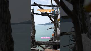 The secret beach in Thailand with the best bar 🥥 Koh Phayam’s hippy bar shaped like a pirate ship [upl. by Peonir]