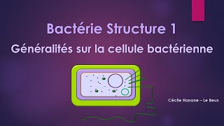 Bactérie Structure 1 BACTERIE sans musique de fond [upl. by Skurnik]