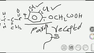 loop diuretics potassium sparing diuretics ethcrynic acidspironolactoneamiloride [upl. by Sible935]