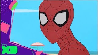 Marvel SpiderMan Maratón fin de semana – El trabajo del superhéroe  Disney XD Oficial [upl. by Nananne]