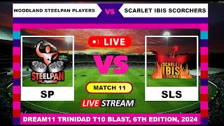 Woodland Steelpan Players vs Scarlet Ibis Scorchers T10 Live Cricket  English Commentary [upl. by Nylatsirk35]