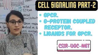 GProtein Coupled Receptor  GPCR Cell Signaling [upl. by Ayortal]