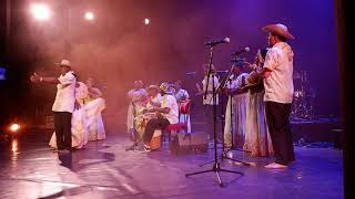 Emilsen Pacheco y su bullerengue tradicional de San Juan de Urabá [upl. by Ransome51]