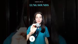 Lung Sound Part 4  Pleural rub sound [upl. by Anaujd557]