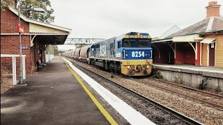 Pacific National 8254 5494 Old Coal Wagons West Tamworth to Port Waratah at Branxton 9102024 [upl. by Chrisoula]