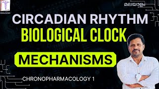 Circadian Rhythm Malayalam Biological clock Molecular mechanisms malayalam Biorhythms malayalam [upl. by Ernesto]