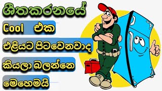 How to check refrigerator door gasket Fridge repair Sinhala [upl. by Etiragram]