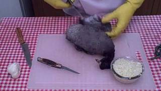 Coot Soup for the New Year 2012wmv [upl. by Chemosh335]