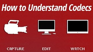 How to Understand Codecs [upl. by Anerrol]