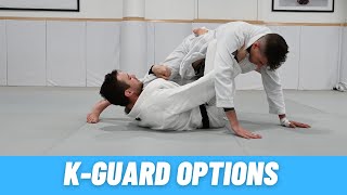 K Guard Options [upl. by Aelaza]