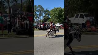 2024 Benson Mule Days shorts shortsvideo [upl. by Benjie349]