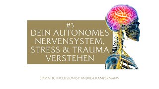 3 Stress Trauma amp dein autonomes Nervensystem [upl. by Nabroc192]