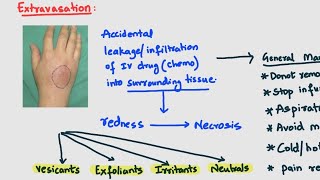 Extravasation of chemotherapy drugs cancer pharmacology [upl. by Nonnel]