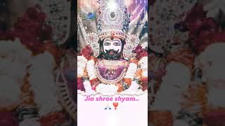 Mere shish ke Dani ka kya kahna jai shree shyamshortvideo trending sorts trendingshorts [upl. by Auqinahs]