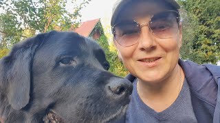 We Bought a Car for Our Dog  Autumn Countryside Vlog [upl. by Bresee80]