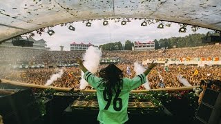 Tomorrowland Belgium 2016  Steve Aoki [upl. by Marris]