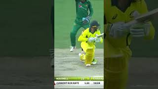 Australia All Fall of Wickets Against Pakistan Bowlers PAKvAUS SportsCentral Shorts PCB M7C2K [upl. by Garrik]