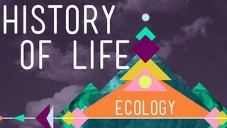 The History of Life on Earth  Crash Course Ecology 1 [upl. by Wiggins170]