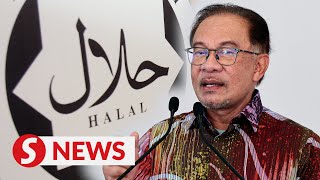 M’sia needs to capitalise on its expertise in halal industry says Anwar [upl. by Eerac522]