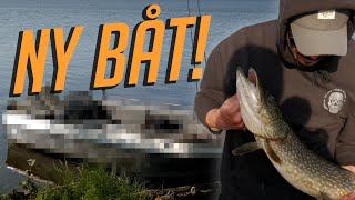 BYGGA SPORTFISKEBÅT amp GÄDDFISKE  VLOG [upl. by Lurline788]