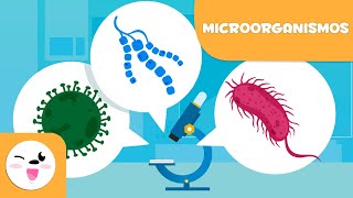 ¿Qué son los Microorganismos  Las bacterias los virus y los hongos para niños [upl. by Mandy947]