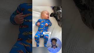 Cute stories about babies and dog 🥰 cute animalsforyou typ2pet cat dog [upl. by Yecac]