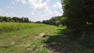 Brenham Disc Golf  Hole 14  Brenham Family Park [upl. by Lednahs]