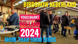 Vogelmarkt 2024 Holland Venlo Vogelbörse mit Mehr als 5000 Vögel Birdshow 2024 Nederland [upl. by Gnirol664]