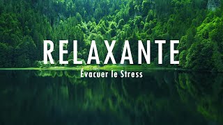 Musique relaxante pour lisolement et la tranquillité desprit arrêtez lanxiété• Évacuer le Stress [upl. by Arised]