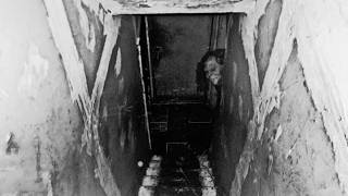 Creepy Things People Discovered In Their Basement [upl. by Atoked]