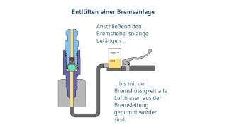 Bremse entlüften  Motorradbremse entlüften mit dem stahlbus Entlüftungsventil [upl. by Cheadle]