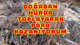 DOĞADAN HURDA TOPLAYARAK PARA KAZANMAYA DEVAM [upl. by Darmit686]