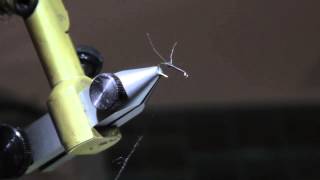 R2 Emerger Fly Tying Video [upl. by Alletniuq77]