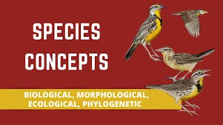 SPECIES CONCEPTS BIOLOGICAL MORPHOLOGICAL ECOLOGICAL PHYLOGENETIC [upl. by Neehahs261]