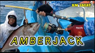 REEL ASLI MENJERIT ‼️ GARA GARA IKAN MONSTER AMBERJACK INImancing mania [upl. by Rainah]