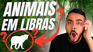 Lista de 50 Animais em Libras  Língua de Sinais [upl. by Eugenle]