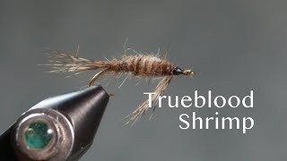 Trueblood Shrimp [upl. by Enahpad391]