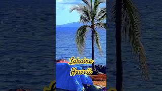 lahaina hawaii usa travel nature vlog holiday [upl. by Anotyad]