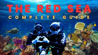 SCUBA DIVING  SHARM EL SHEIKH EGYPT  Unreal Underwater Footage  How to Dive in the Red Sea [upl. by Iel]