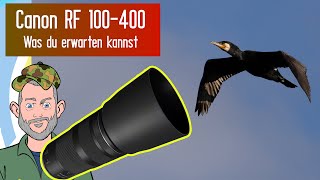 Canon RF 100400  R7  was du erwarten kannst Best Budget Telezoom [upl. by Eaj]