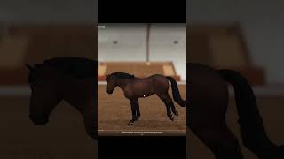 NOWE KONIE SĄ sso starstableonline starstable horse [upl. by Megan]