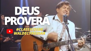 DEUS PROVERA  WALDECY AGUIAR [upl. by Sukcirdor]