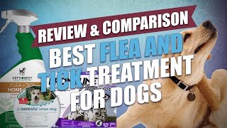 Best Flea and Tick Treatment for Dogs Comparison [upl. by Aeresed]