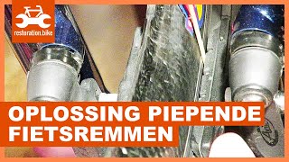 Piepende fietsremmen oplossen [upl. by Nnyltiak]