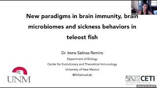 quotBrain immunity brain microbes and sickness behaviors in teleost fishquot by Dr Irene Salinas [upl. by Tsepmet]