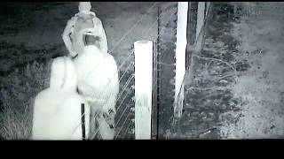 Farm Attackers caught on video in South Africa farm murders [upl. by Ecirtnahc]