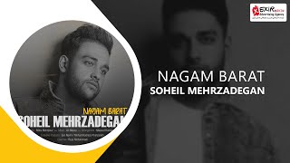 Soheil Mehrzadegan  Nagam Barat  سهیل مهرزادگان  نگم برات [upl. by Ricoriki]