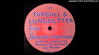 Tarball amp Lungbutter  Looking Down At Snake Canyon Acid Techno 1999 [upl. by Elttil]